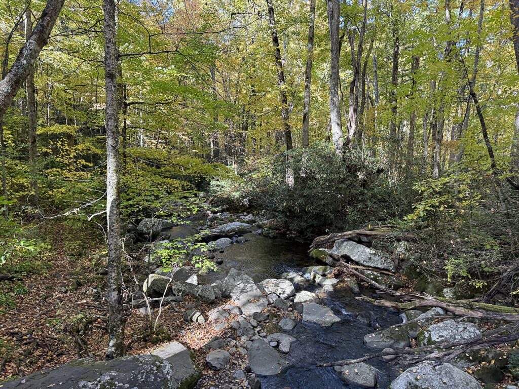 Roaring Fork Motor Nature Trail
